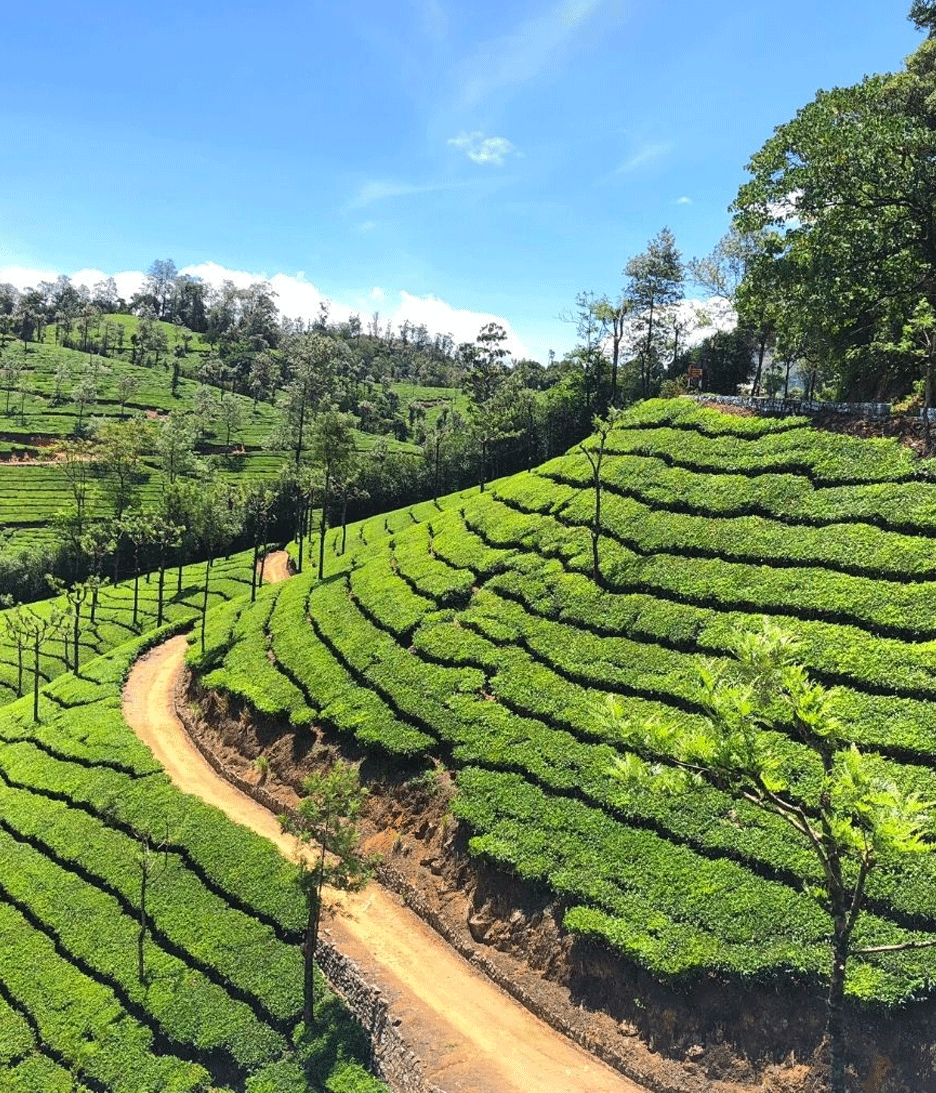 Valparai